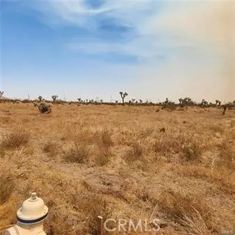 1595 La Mesa Road, Pinon Hills, CA 92372 - Image #2