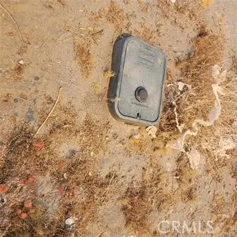 1595 La Mesa Road, Pinon Hills, CA 92372 - Image #3