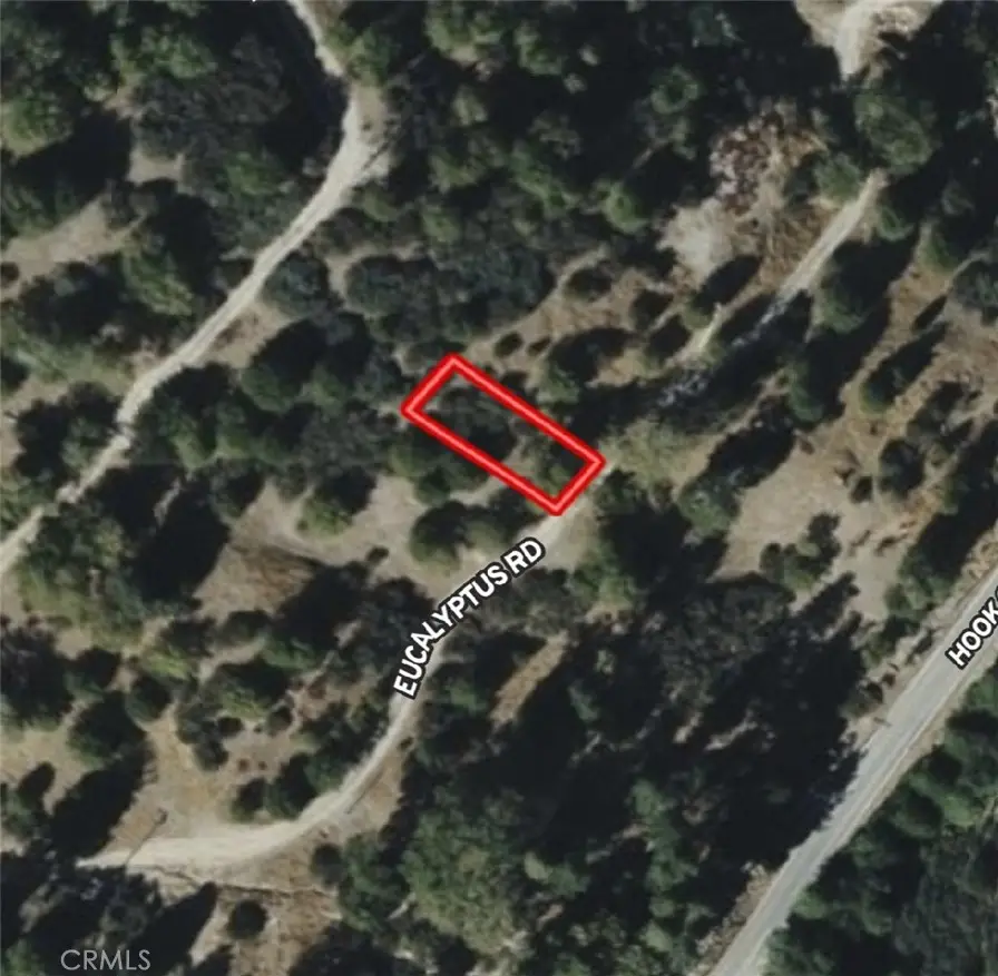 620 Eucalyptus, Cedar Glen, CA 92321 - Image #2