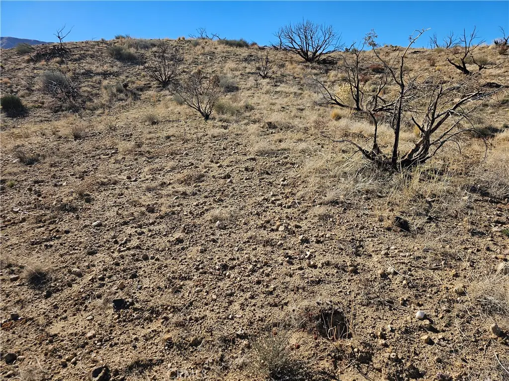 6 128th E, Juniper Hills, CA 93543 - Image #1