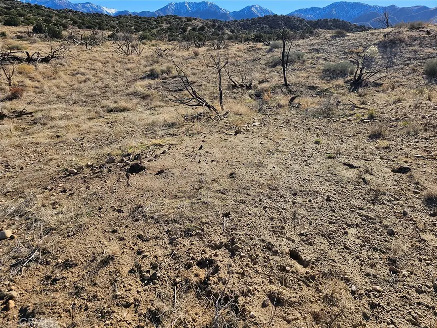 6 128th E, Juniper Hills, CA 93543 - Image #2