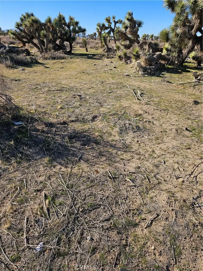 0 Division St, Palmdale, CA 93550 - Image #1