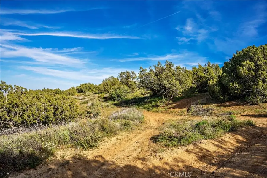 48725 Shallow Springs Road N, Leona Valley, CA 93551 - Image #3