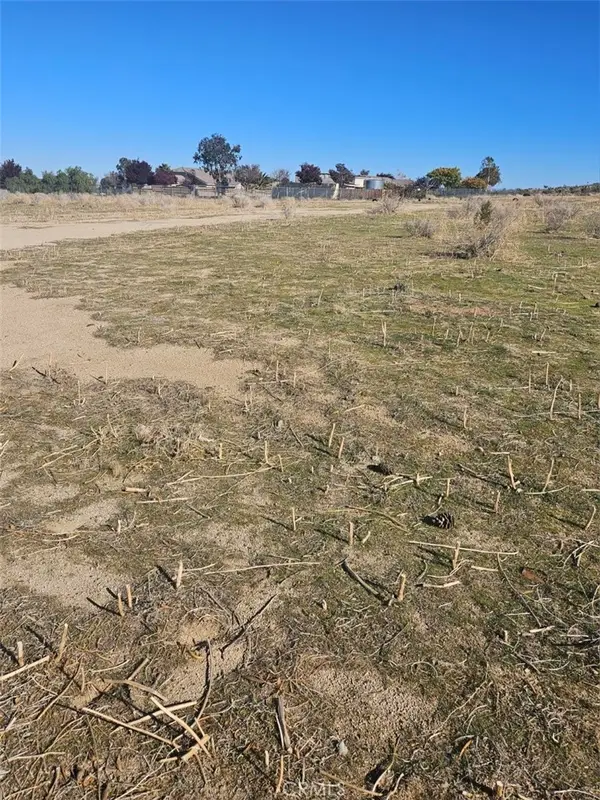 0 111 Ste Drt Vic V14 Ste, Pearblossom, CA 93553