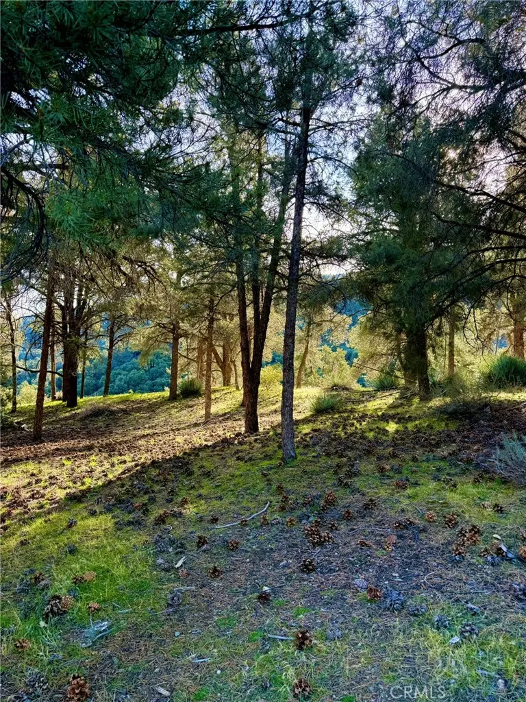 2604 Tirol, Frazier Park, CA 93225 - Image #2