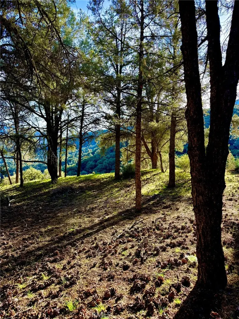 2604 Tirol, Frazier Park, CA 93225 - Image #3