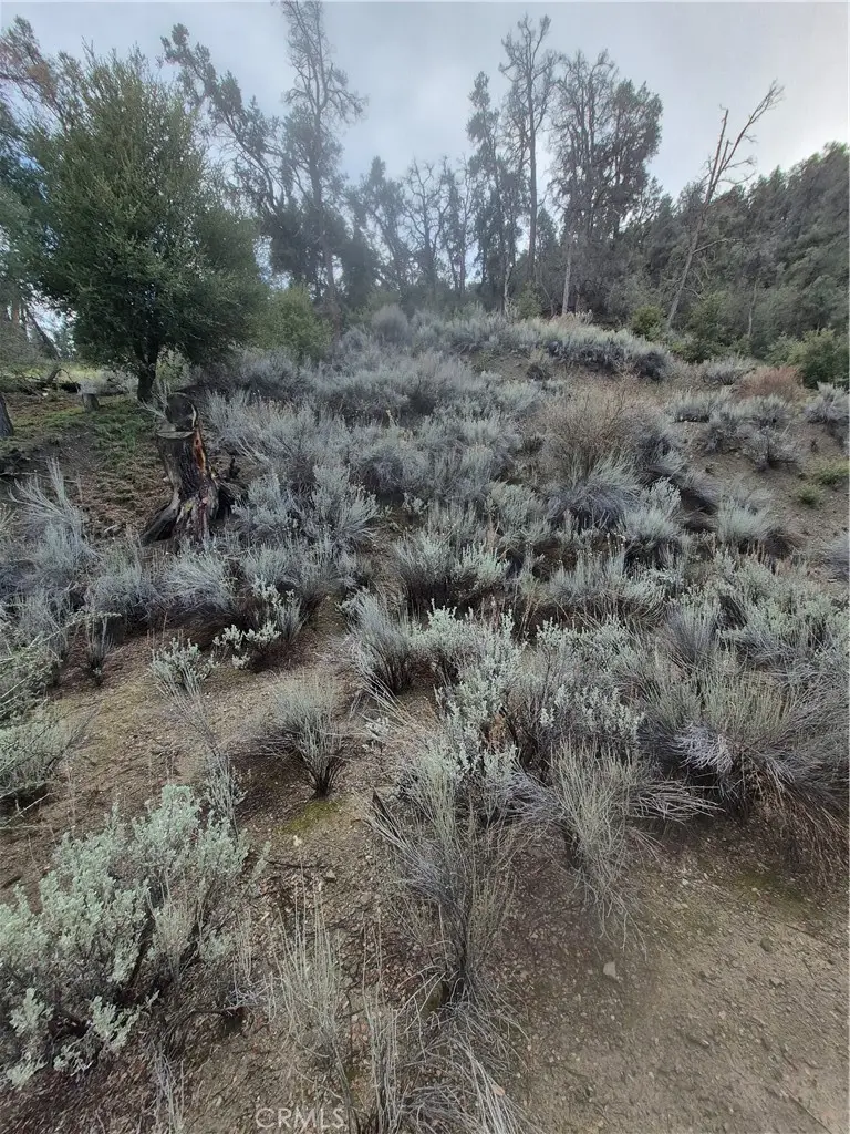 15532 San Moritz, Pine Mountain Club, CA 93222 - #1