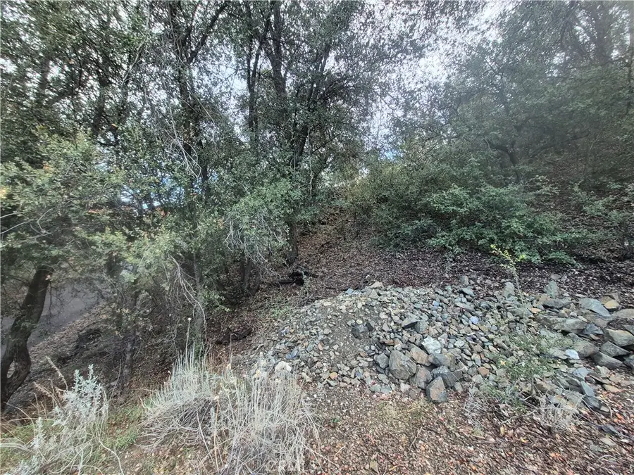 15532 San Moritz, Pine Mountain Club, CA 93222 - #3
