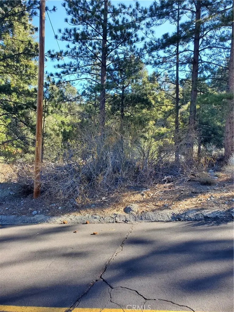 1609 Banff, Pine Mountain Club, CA 93222 - #3