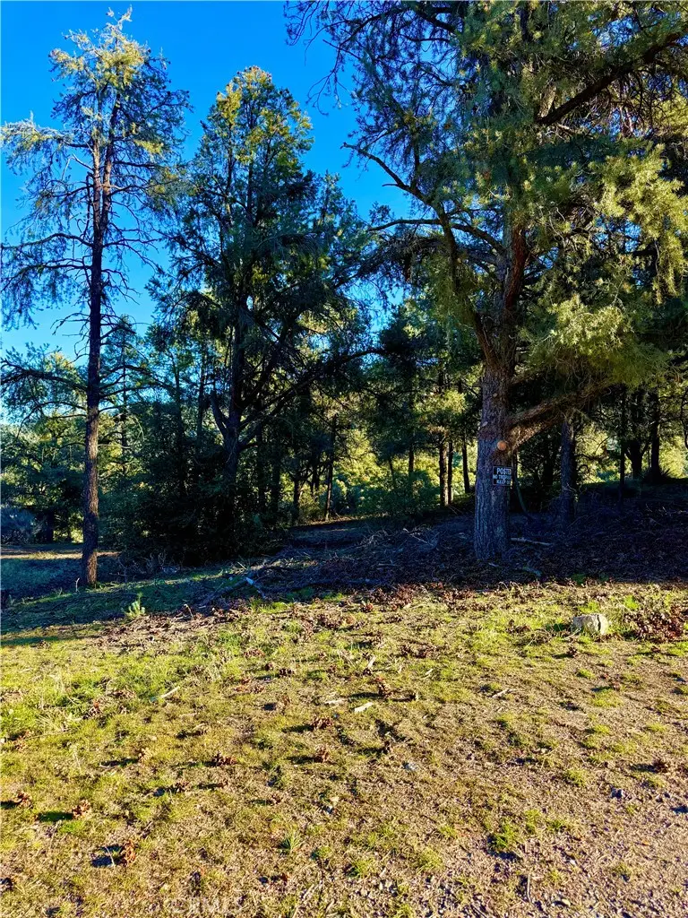 2608 Tirol, Pine Mountain Club, CA 93225 - Image #2