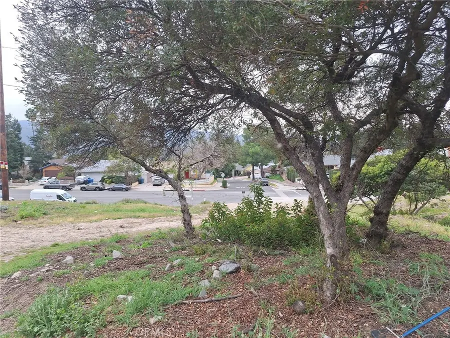 10157 Durkee Avenue, Tujunga, CA 91042 - #2