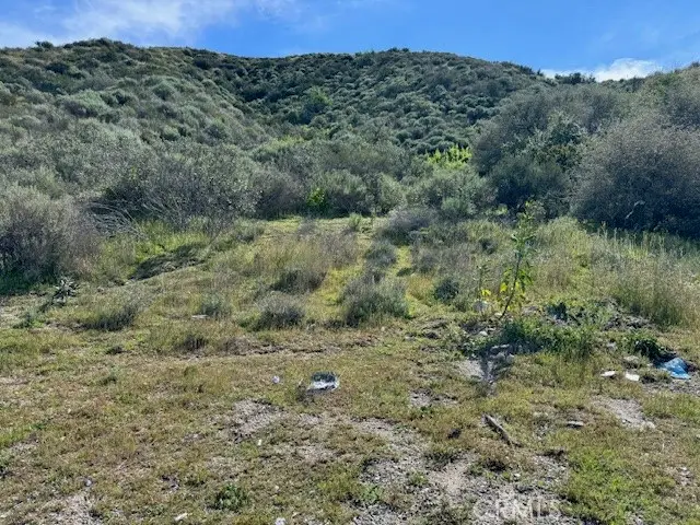 17930 Scherzinger Lane, Canyon Country, CA 91387 - #2