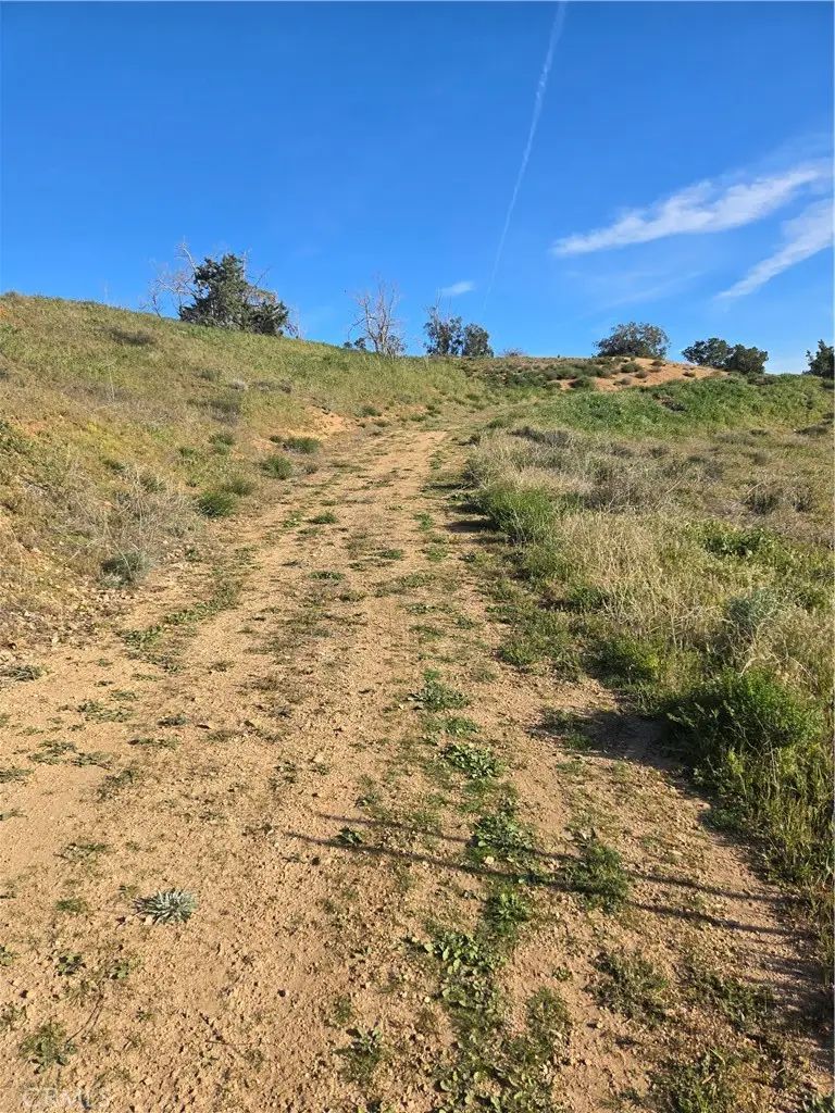 0 Red Rover, Acton, CA 93510 - #3