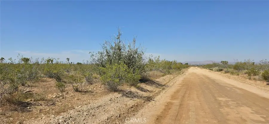 0 173rd E W-12, Llano, CA 93544 - #2