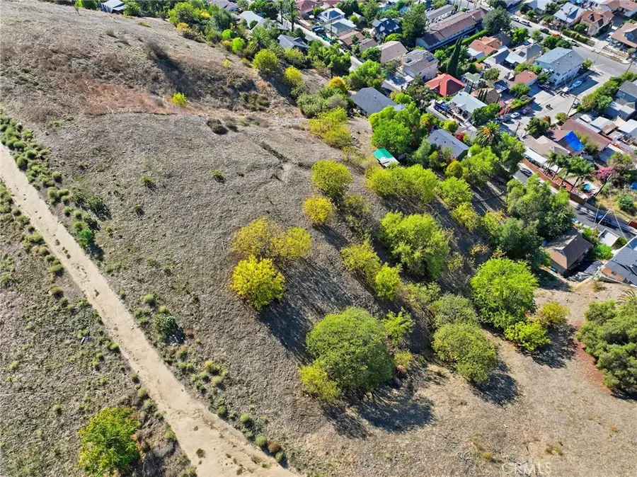 2921 Thomas Street, Los Angeles, CA 90034 - #3