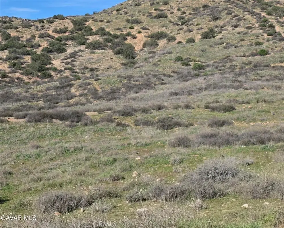 0 Vic Desert Springs Av, Palmdale, CA 93551 - #1