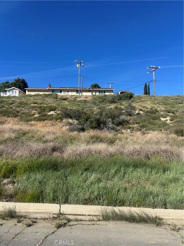 0 Kiptree, Lake Hughes, CA 93532 - #2