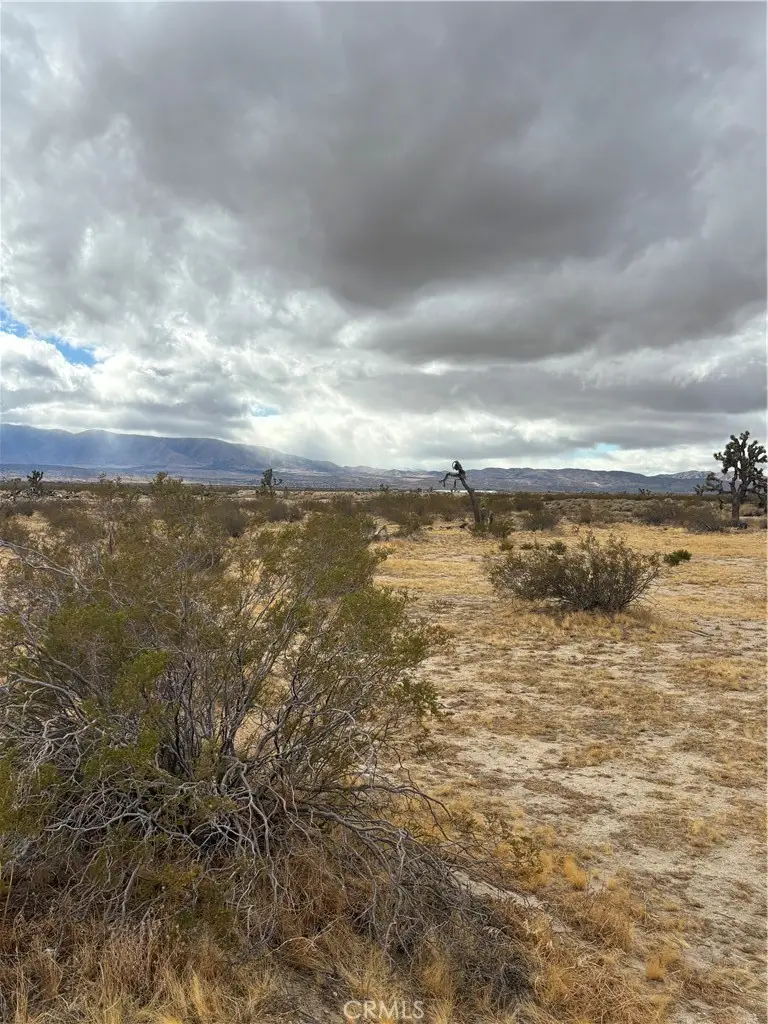 165 E Avenue S, Palmdale, CA 93591 - #3