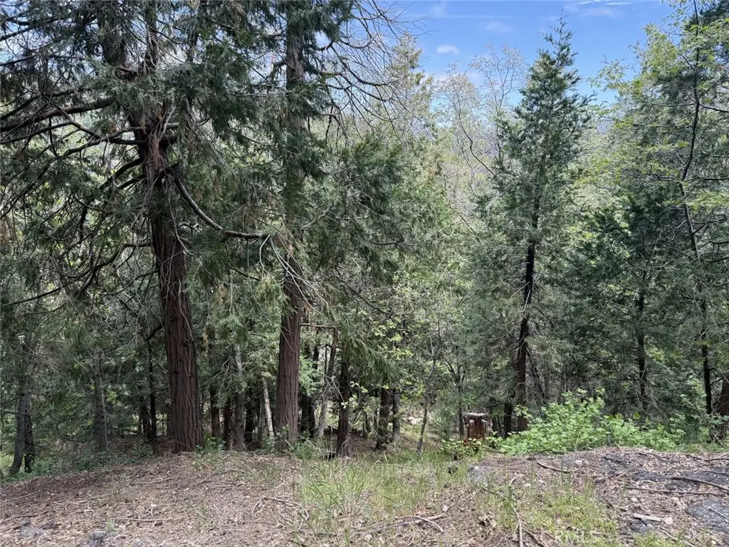 0 Alpine Court, Crestline, CA 92325 - #1