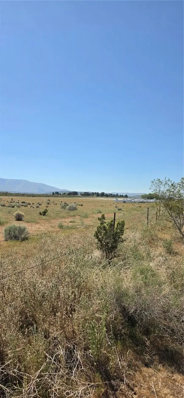 0 175th St E W10, Llano, CA 93591 - #2