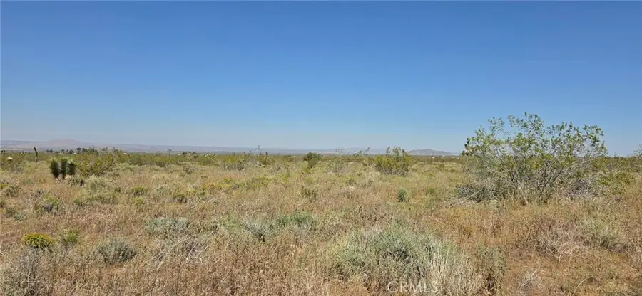 0 175th St E W10, Llano, CA 93591 - #3