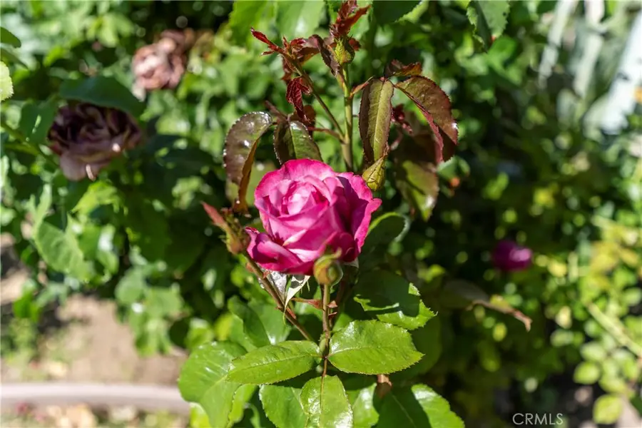 7608 Penobscot Drive, West Hills, CA 91304 - #2