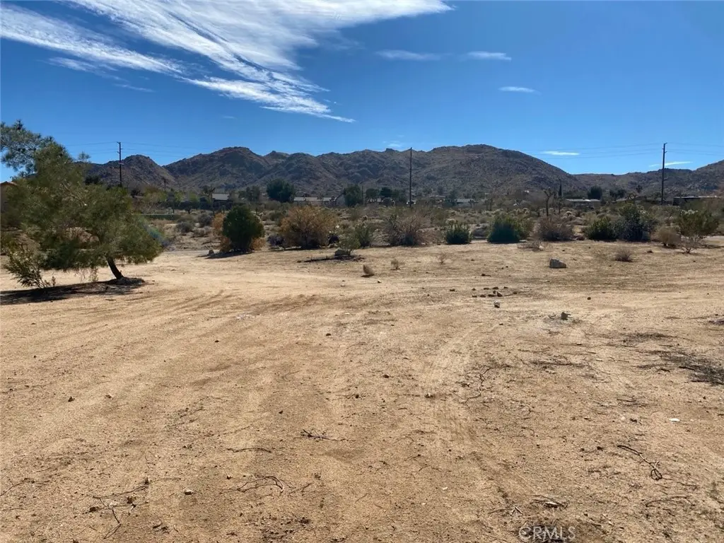 60450 Alta Mesa Drive, Joshua Tree, CA 92252 - #1