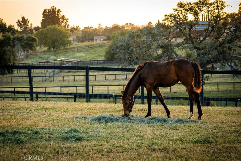 1977 W San Marcos Pass Road, Santa Ynez, CA 93460 - #1