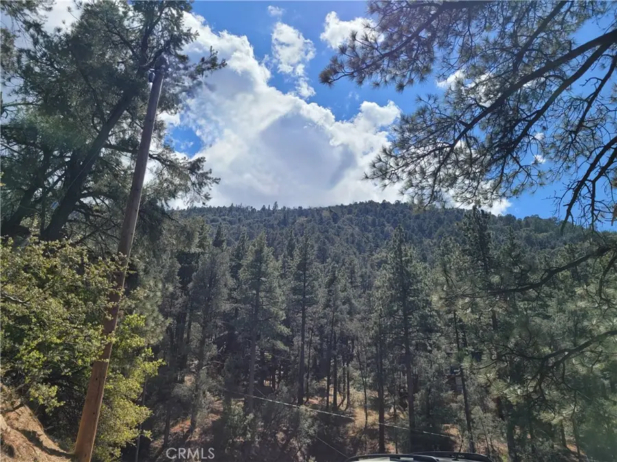 1871 Matuse, Pine Mountain Club, CA 93222 - #3