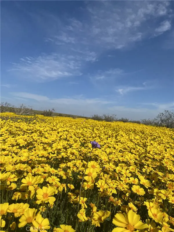 0 Vacant Land, Mojave, CA 93501