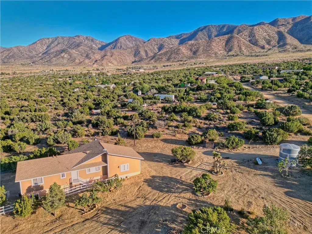 29422 125th E, Pearblossom, CA 93553 - #1