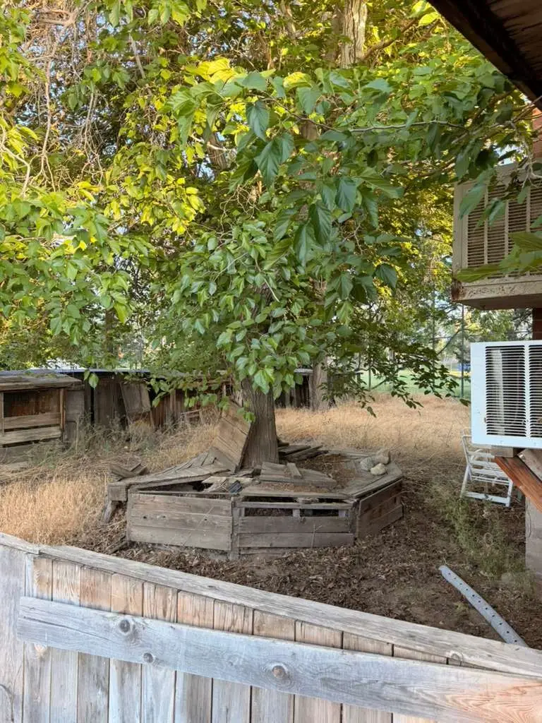 12156 E Avenue V12, Pearblossom, CA 93553 - #2