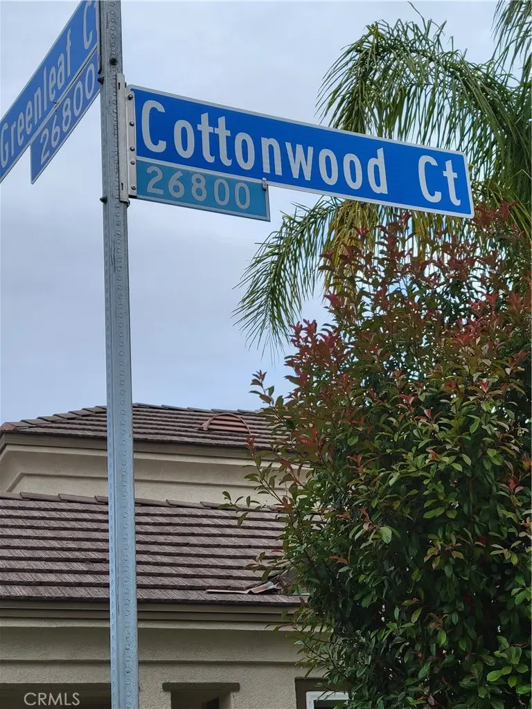 26807 Cottonwood Court, Valencia, CA 91381 - #3