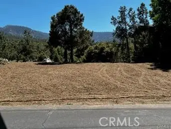 2045 Woodland Drive, Pine Mountain Club, CA 93222 - #1