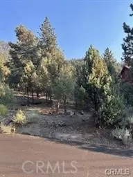 15120 Acacia, Pine Mountain Club, CA 93222