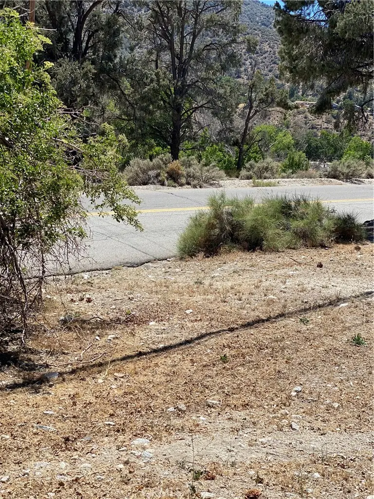 0 Mt. Pinos Way, Lebec, CA 93243 - #3
