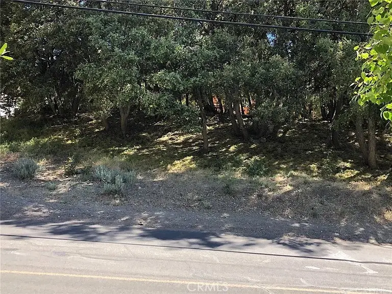 2117 Alder Ct, Pine Mountain Club, CA 93222 - #1