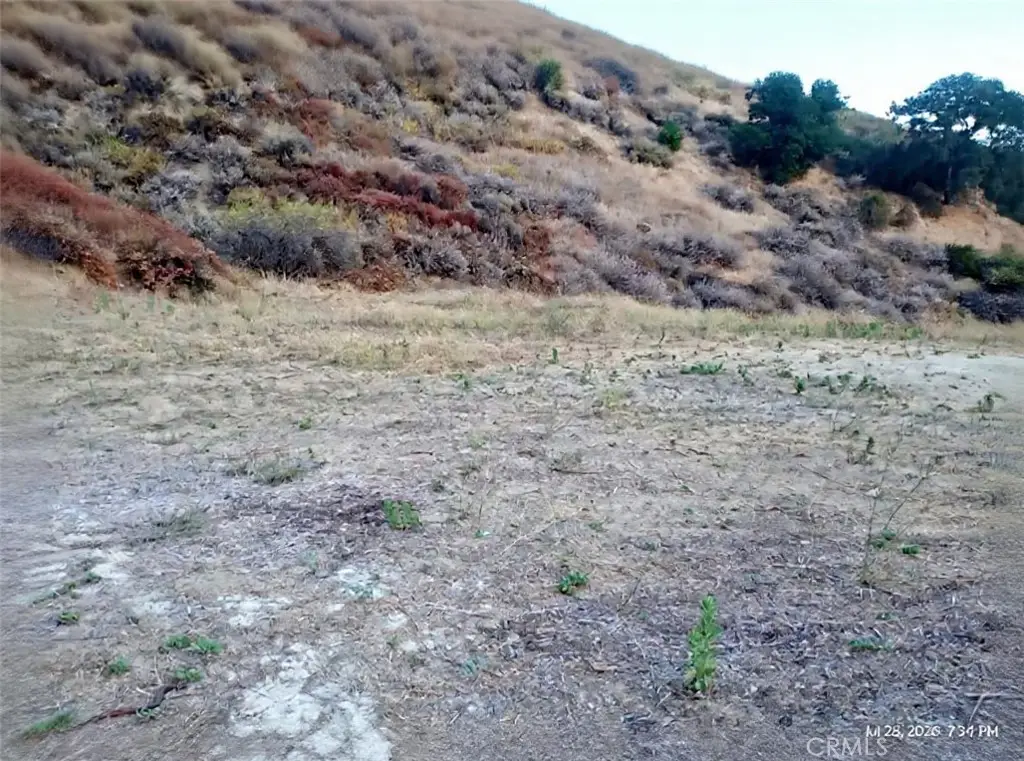 0 Pinedale Place, Val Verde, CA 91384 - #1
