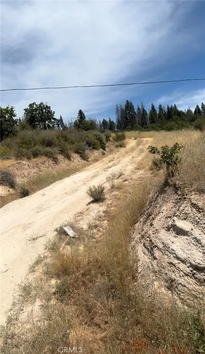1651 Summit Creek Road, Hayfork, CA 96041 - #1