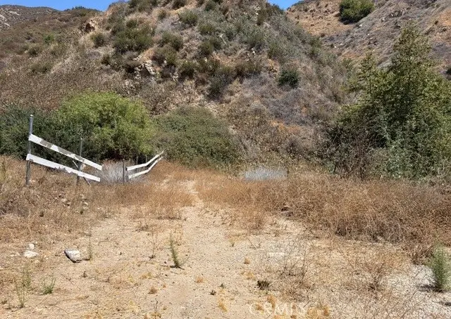 13912 N Mesa Alta, Kagel Canyon, CA 91342 - #2