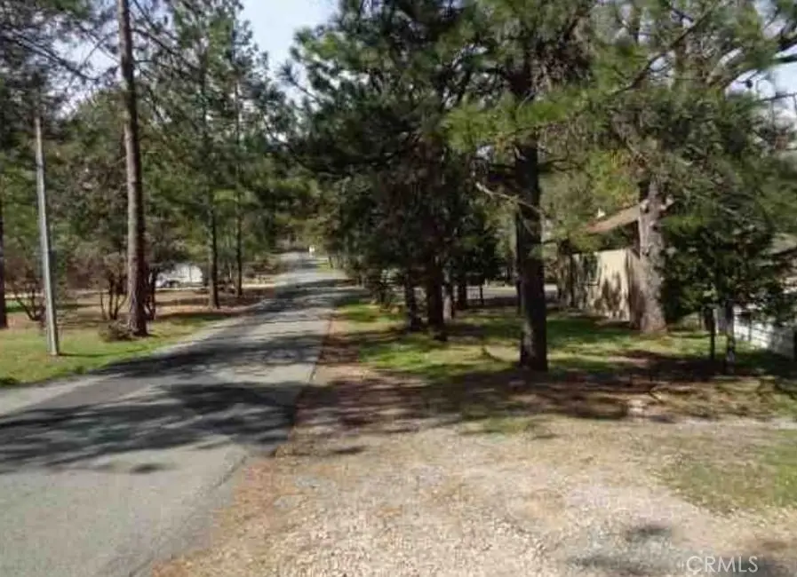 11310 Clinton Bar, Pine Grove, CA 95665 - #3