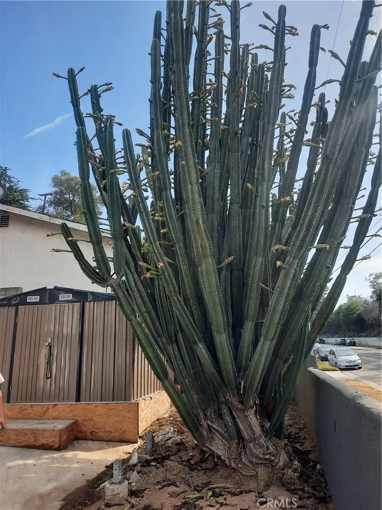 2066 El Moran Street E, Los Angeles, CA 90039 - #3