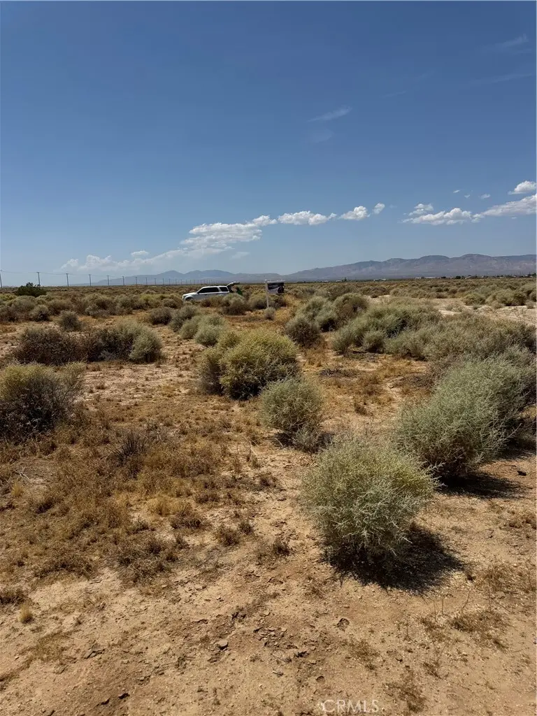 477 Tanbark Avenue, California City, CA 93505 - #1
