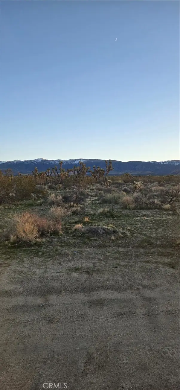 253 Vac/vic, Llano, CA 93591 - #1
