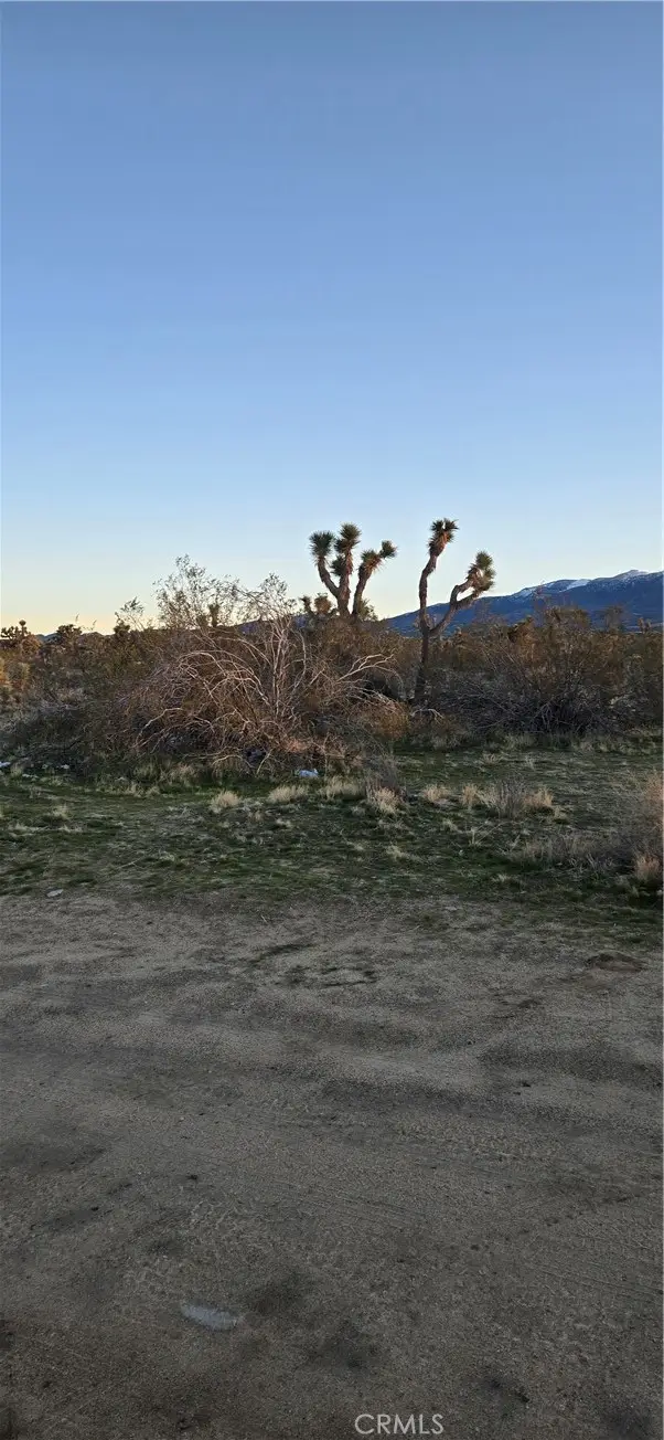253 Vac/vic, Llano, CA 93591 - #2