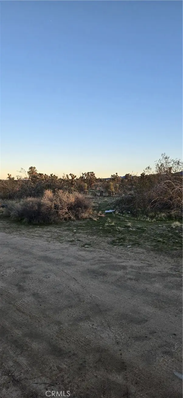 253 Vac/vic, Llano, CA 93591 - #3
