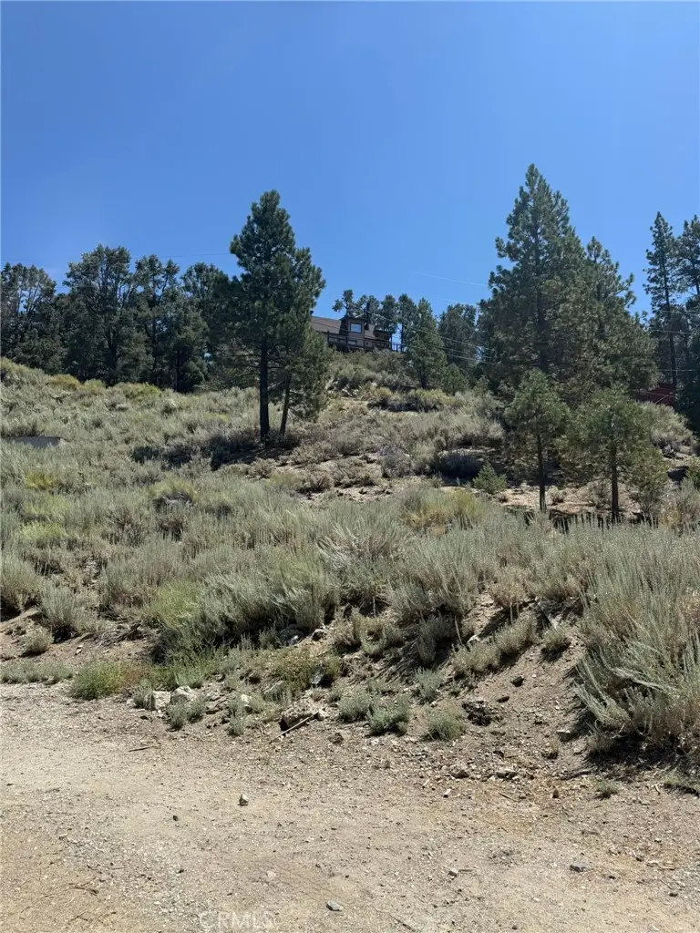 2201 Ironwood, Pine Mountain Club, CA 93222 - #1
