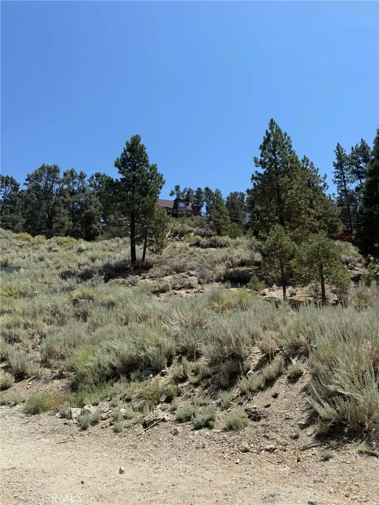 2201 Ironwood, Pine Mountain Club, CA 93222 - #2