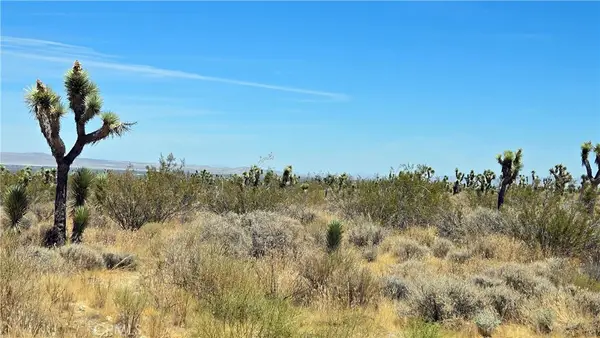 0 Vicinity Avenue X4 & 231st E, Llano, CA 93544