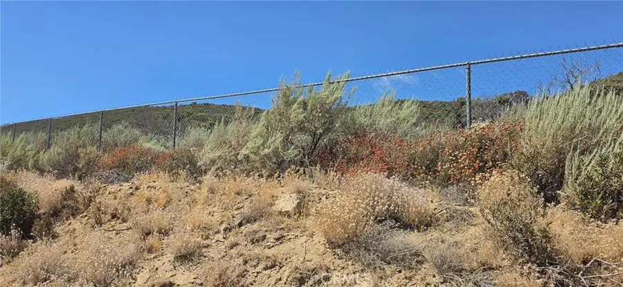 0 Lost Valley Road, Leona Valley, CA 93551 - #3
